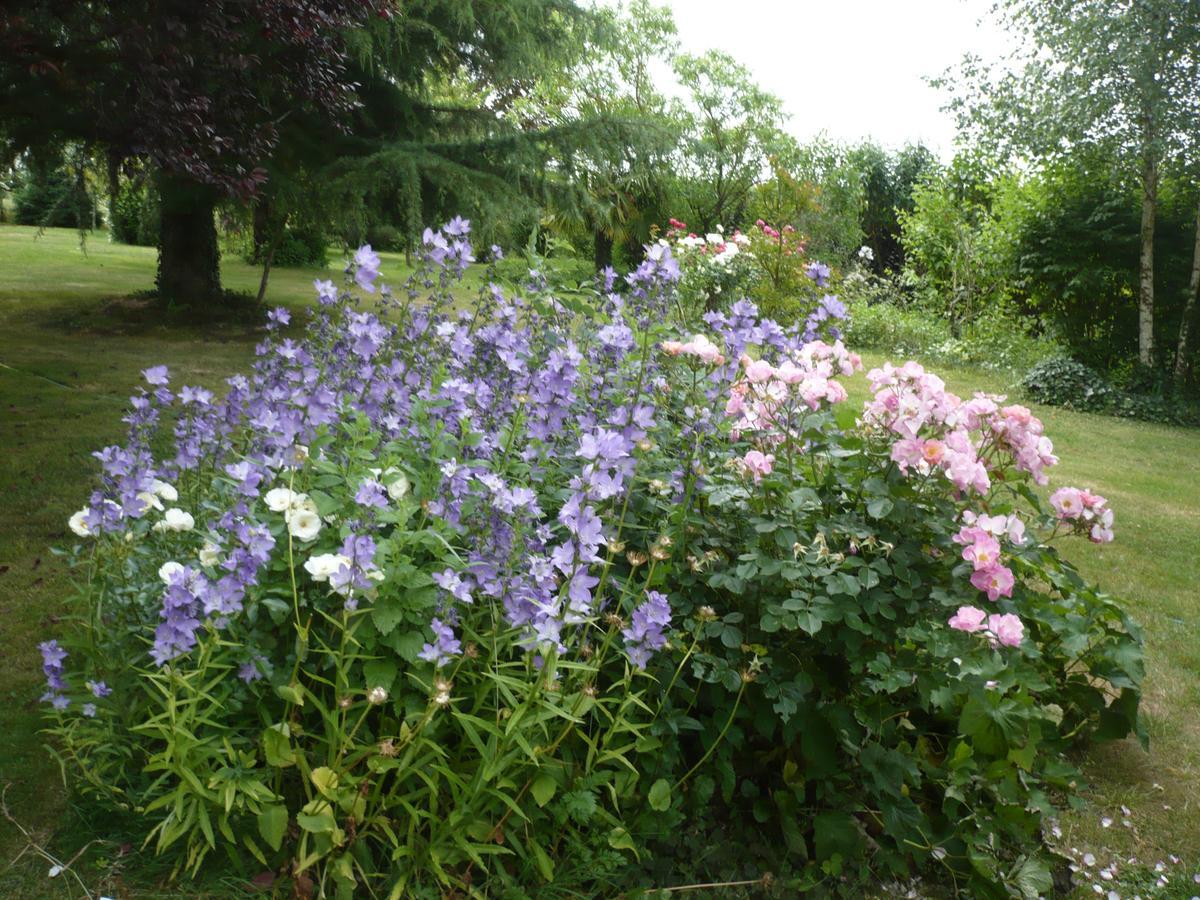 D'hotes Anne-marie 3* Chatillon-sur-Indre