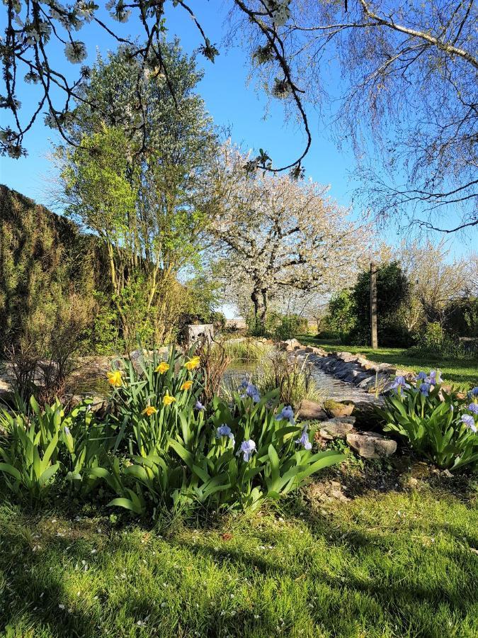 Bed & Breakfast D'hotes Anne-marie